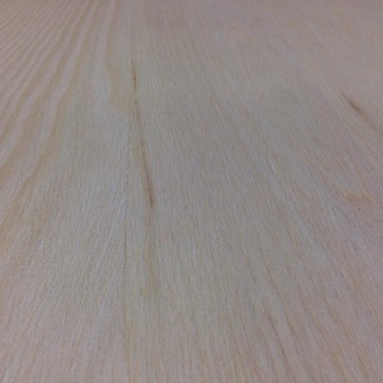 Esche_411