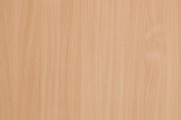 Buche 3391 Buche Woodline